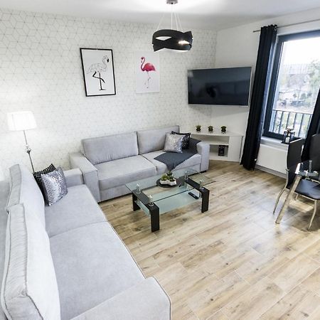 New Big Apartment- Old Town - 3 Rooms - Parking - Viewpoint Wrocław Extérieur photo